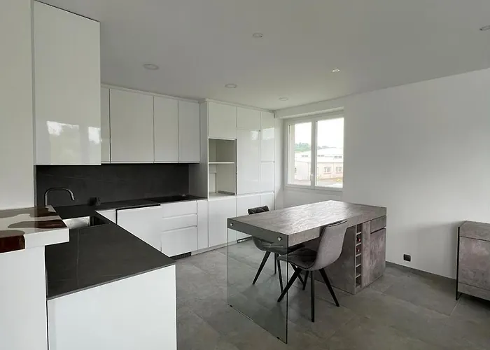 House With Garden Near Center Castres (Tarn)